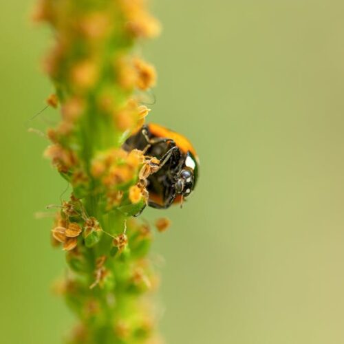 Życie jest zbyt krótkie cytaty, które zmienią Twoje myślenie