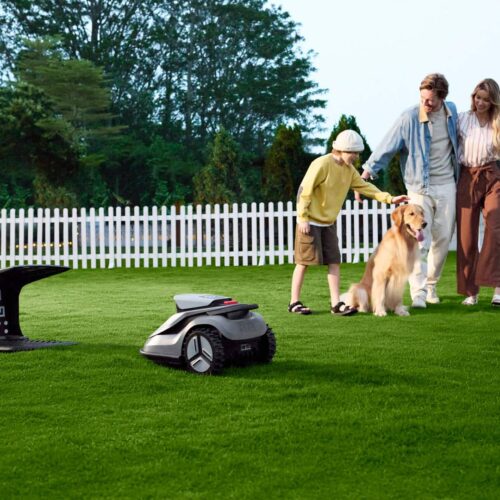 Ogród, który dba o siebie sam: inteligentna pielęgnacja z wizyjną sztuczną inteligencją